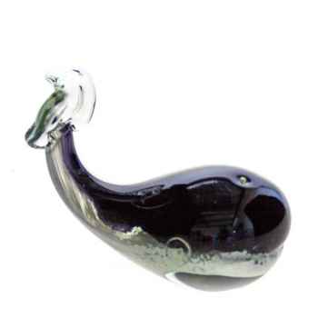 Large Coloured Whale