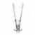 Ice Vlottenburg Beer Flute